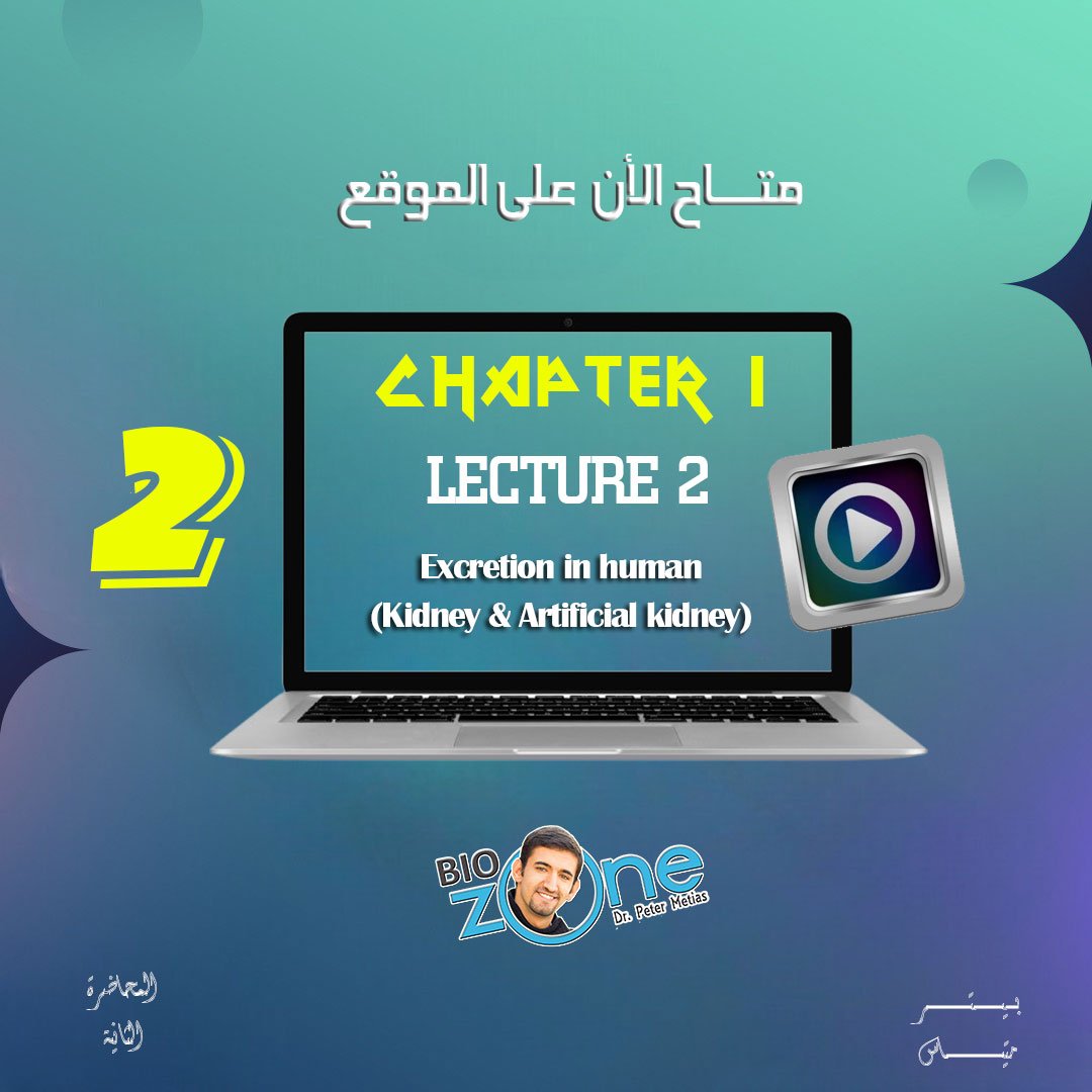 2025 - 2 - الاسبوع الثاني - الشرح